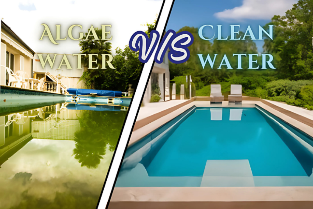 Algae pool vs clean pool comparison